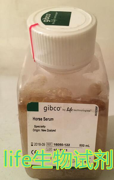 gibco马血清 16050-122 500ml 现货